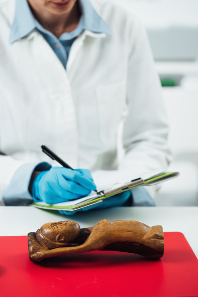 美术鉴定、木雕鉴定图片下载