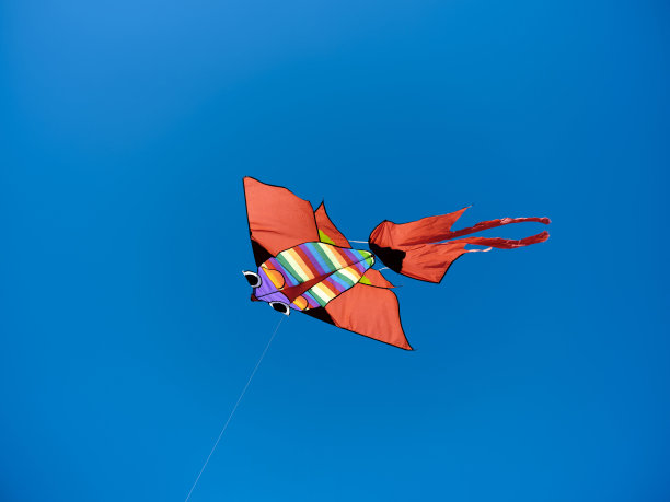 红色的风筝，用五颜六色的带子装饰，在一个阳光明媚的早晨在蓝天上飞翔。图片下载