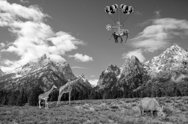 大象飞行图片下载