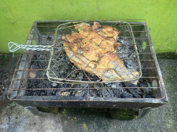 烤罗非鱼用钳子在炉子里烤图片下载