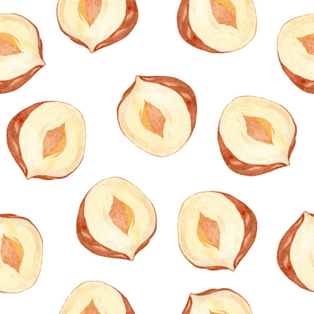 水彩半榛子坚果无缝图案的白色背景图片下载