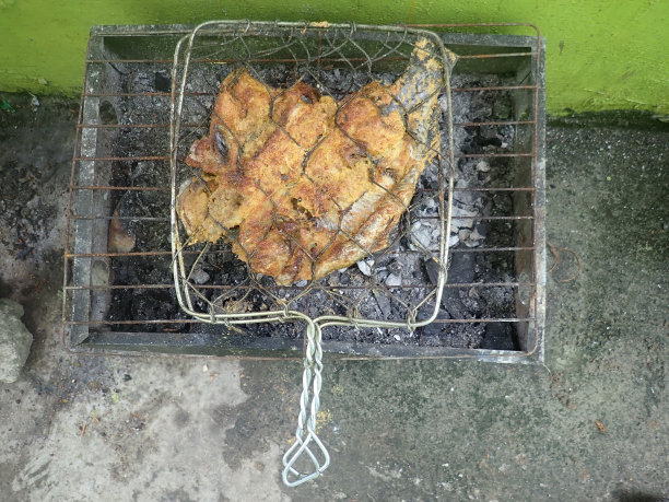 烤罗非鱼用钳子在炉子里烤图片下载