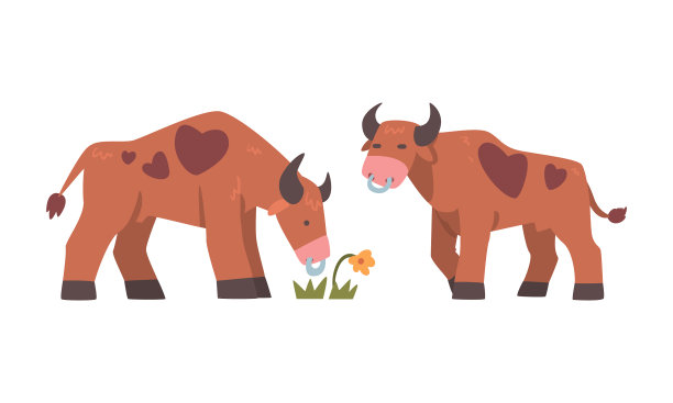 棕色斑点的公牛在牧场上吃草图片下载