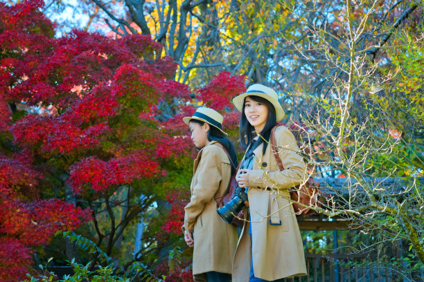 秋天的图片下载