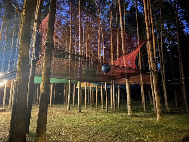 体育活动公园在森林里图片下载