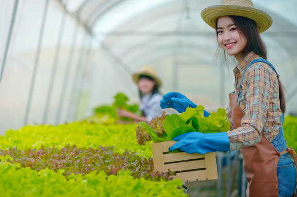 农场新鲜的图片下载