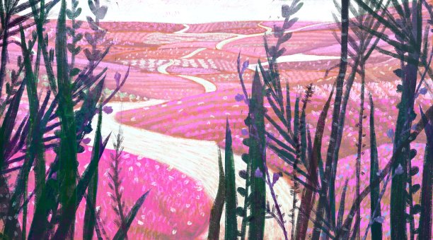 乡村的自然道路。风景画。方法的概念图片下载