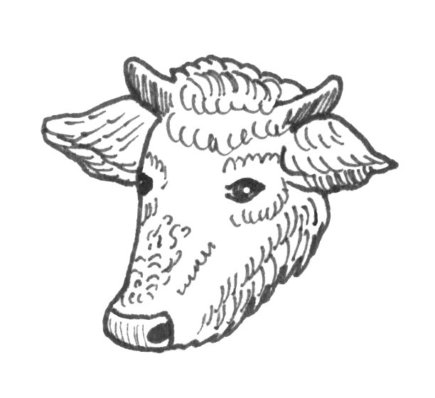 在白色背景上绘制的黑白牛头手的插图图片下载