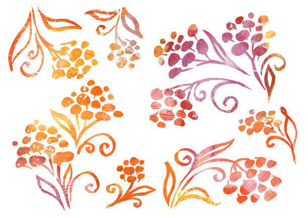 花卉水彩画在白色背景上的线条艺术风格的花卉元素。秋天的花有黄色、棕色、红色和橙色图片下载