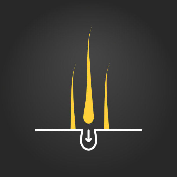 植发毛囊的植发医学海报图片下载