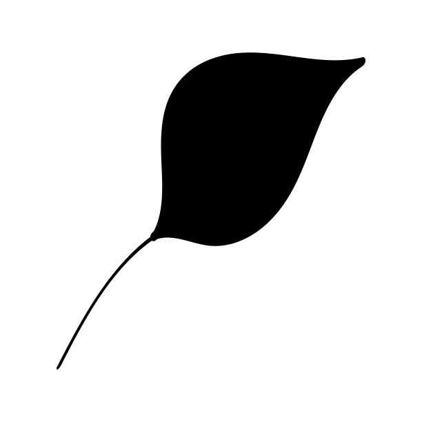 花叶的黑色轮廓。矢量隔离元素在白色背景。一个手绘的植物。图片下载