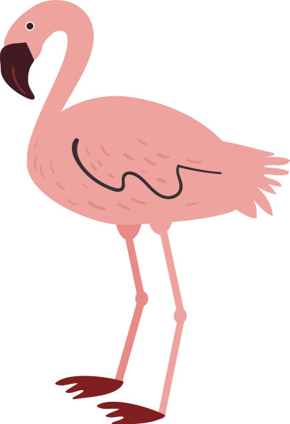 非洲火烈鸟卡通在一个天真的平面风格图片下载