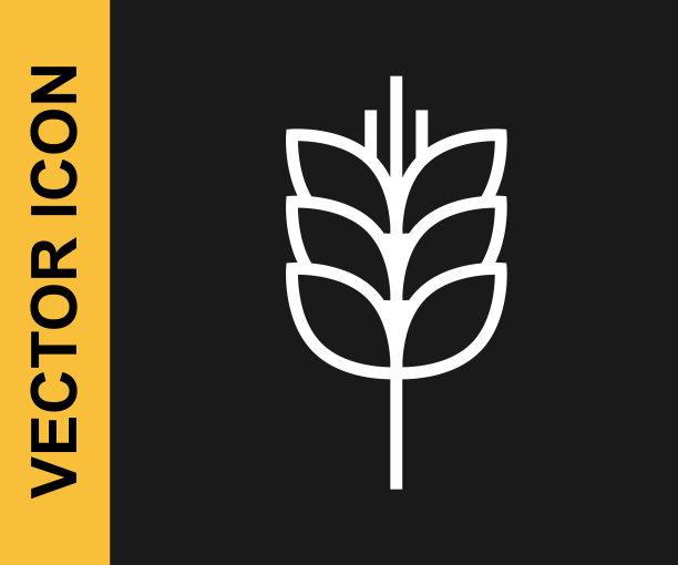 白线谷物与大米，小麦，玉米图片下载