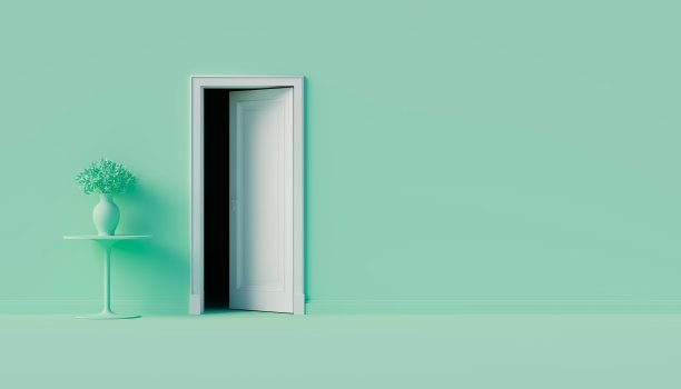 打开一扇白色的门，进入一间黑屋子。锅用鲜花。室内的抽象背景。三维渲染图片下载