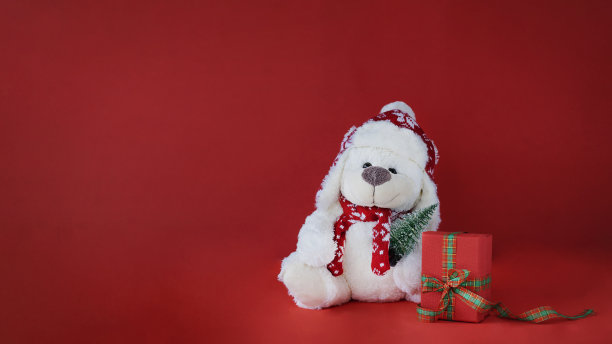 戴着冬季帽子的白色泰迪熊图片下载