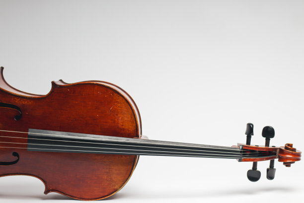 大提琴照片图片下载