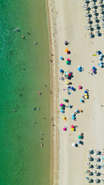 伞和人们在沙滩上休息的垂直顶部照片图片下载