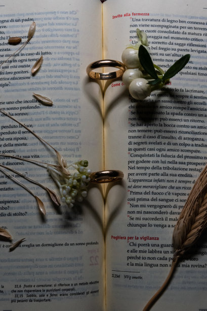 结婚作文与结婚戒指图片下载