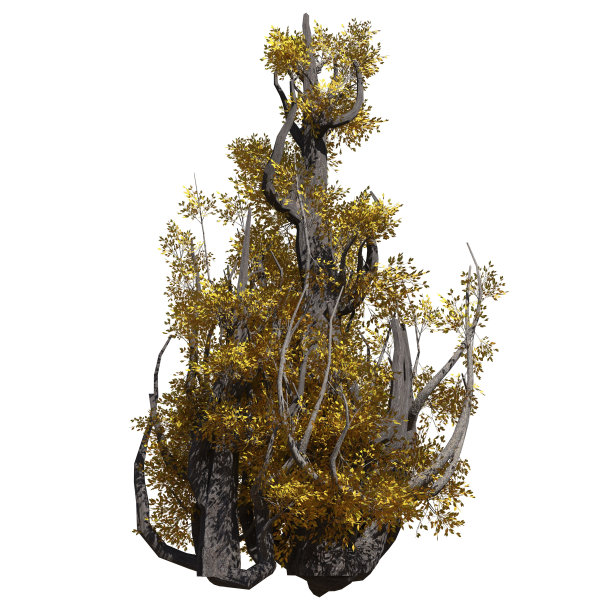 白色背景上的奇幻树木3D插画图片下载