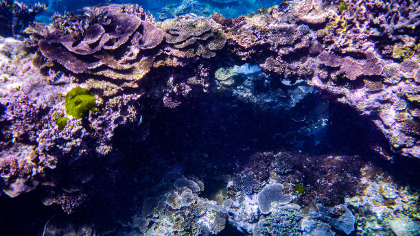 珊瑚桥图片下载