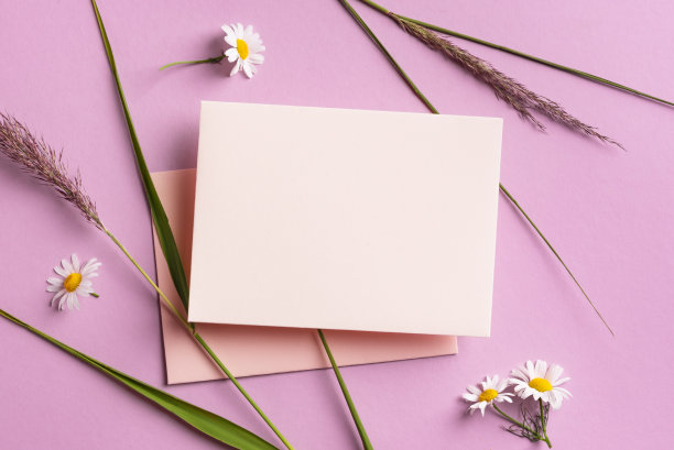 贺卡，雏菊花，绿色植物图片下载