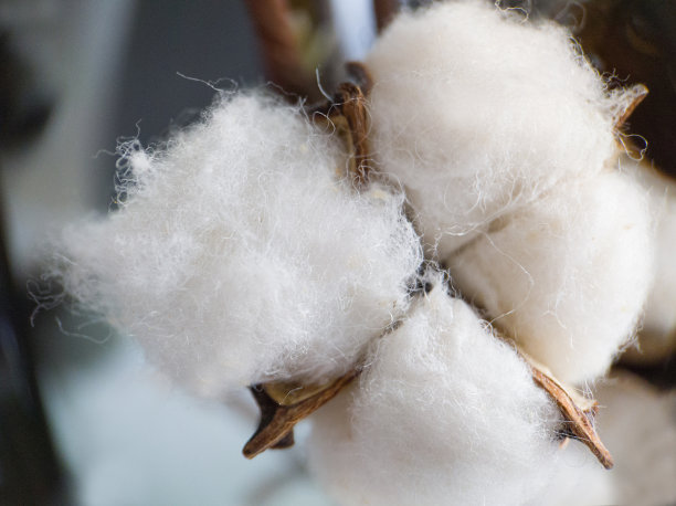 人造白棉室内和设计特写图片下载