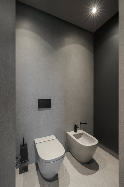 浴室内部带坐浴盆的抽水马桶图片下载