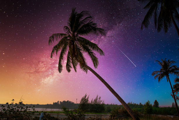景观与银河系。星星点缀的夜空和山上椰子树的剪影。长时间曝光照片。图片下载