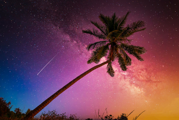 景观与银河系。星星点缀的夜空和山上椰子树的剪影。长时间曝光照片。图片下载