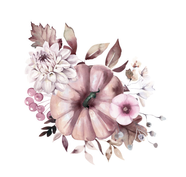 水彩花束大丽花，干花和南瓜。图片下载