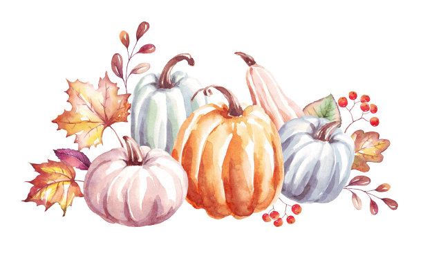 南瓜。水彩剪纸艺术图片下载