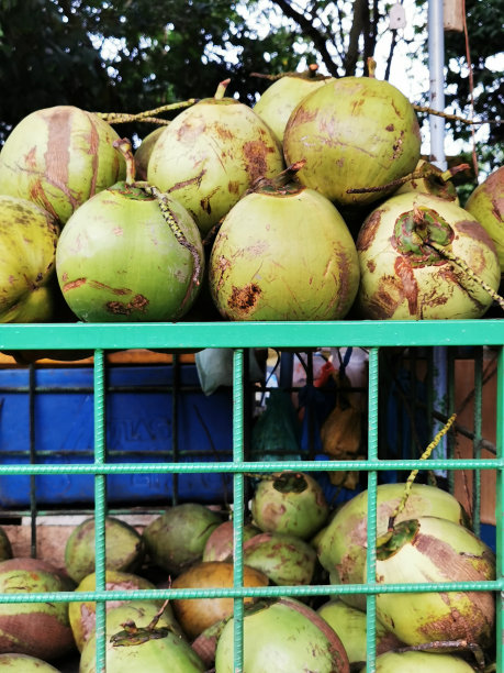 印尼的路边有卖幼椰汁。这种饮料很受欢迎，因为它有淡水的味道和低廉的价格图片下载