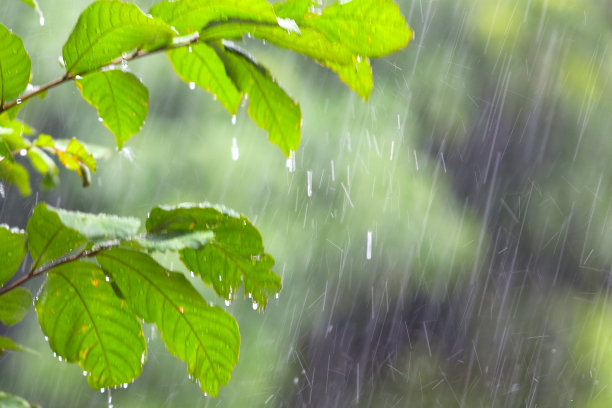 雨季图片下载