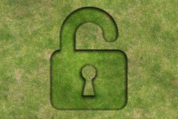 用草做成的锁状图片下载