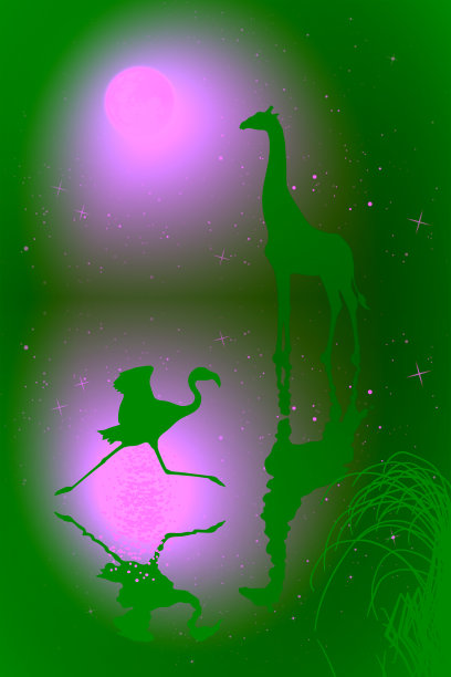 大草原上的长颈鹿，火烈鸟图片下载