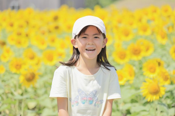 向日葵田里的日本女孩(7岁)图片下载