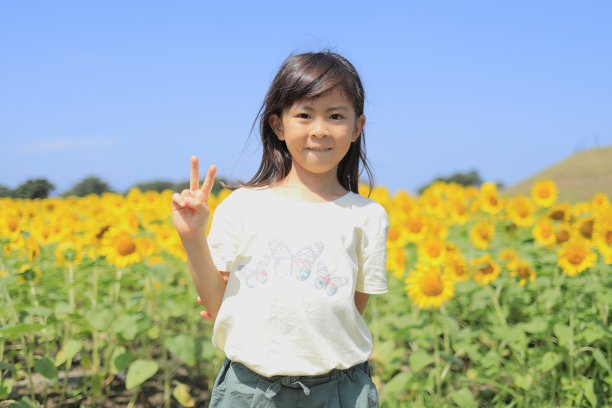 向日葵田里的日本女孩(7岁)图片下载