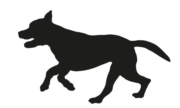 奔跑和跳跃的美国比特斗牛犬小狗。黑狗轮廓。宠物的动物。孤立在白色背景上。图片下载