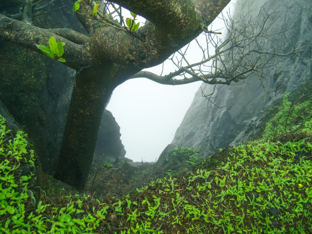 从纳内加特山顶拍摄的云雾笼罩的深谷图片下载