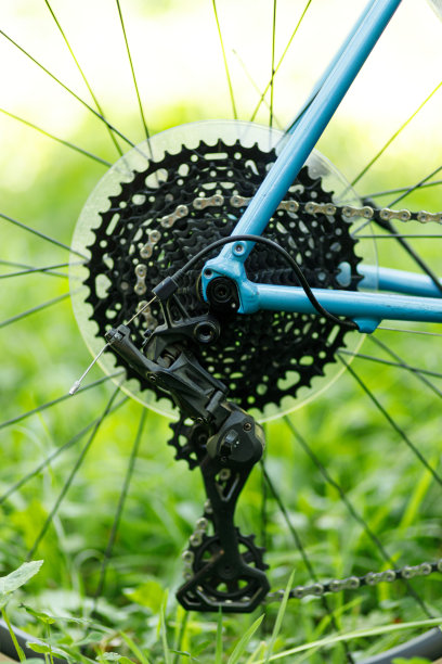 带变速器的自行车卡带，特写。服务和维修。图片下载
