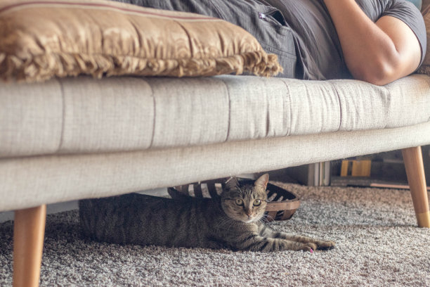 在一起但单独图片下载