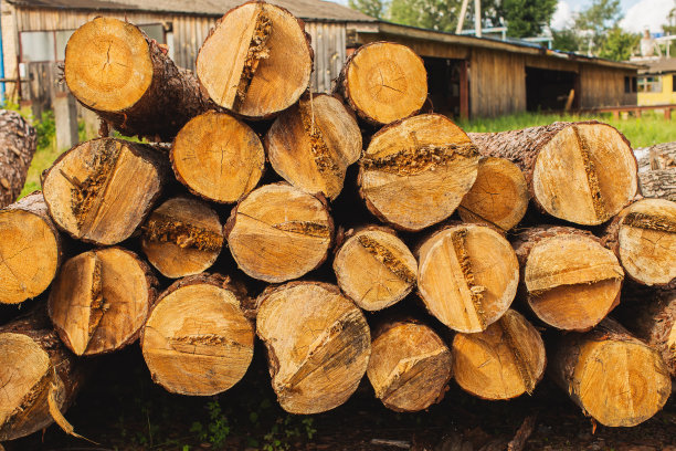 建筑材料。木头。大量木材。木工。家具制造。木工车间图片下载