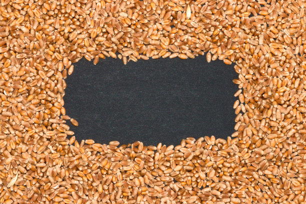 全球粮食危机，小麦在中间黑抄空间图片下载