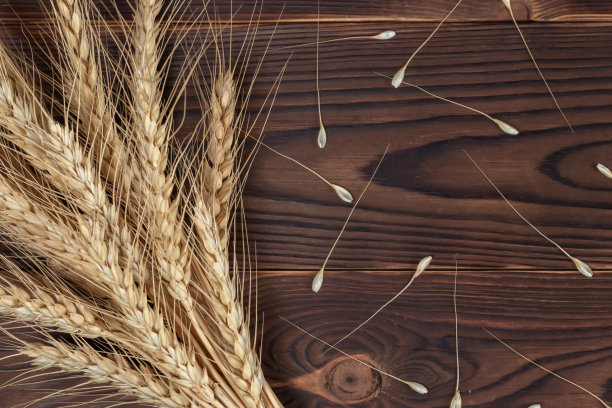 木制背景上的麦穗。前视图。图片下载