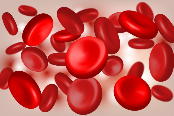 红细胞在动脉内流动。向量医学概念图片下载