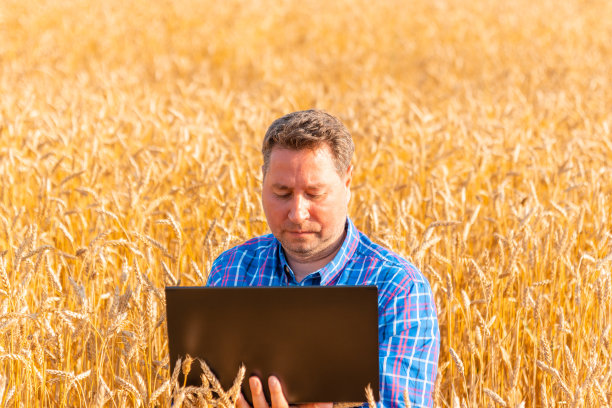 农民农学家在麦田里用笔记本电脑工作，分析天气预报对收成的影响。漂亮的夏天lanscape。图片下载