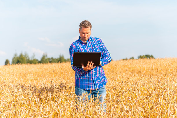 农民农学家在麦田里用笔记本电脑工作，分析天气预报对收成的影响。漂亮的夏天lanscape。图片下载