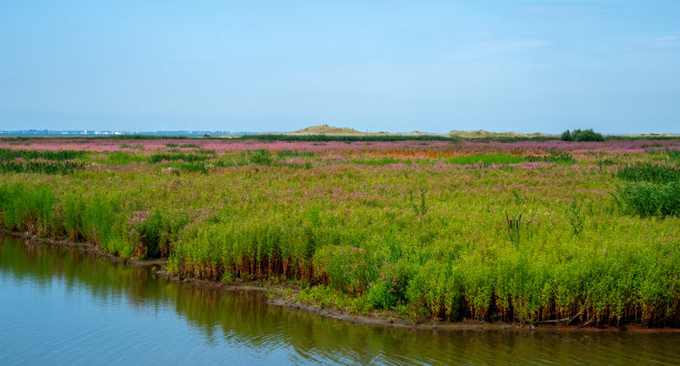 马克瓦登岛，荷兰新创建的岛屿图片下载