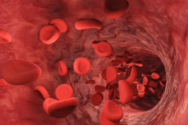 在血管中流动的红细胞。人体循环系统的3D插图图片下载