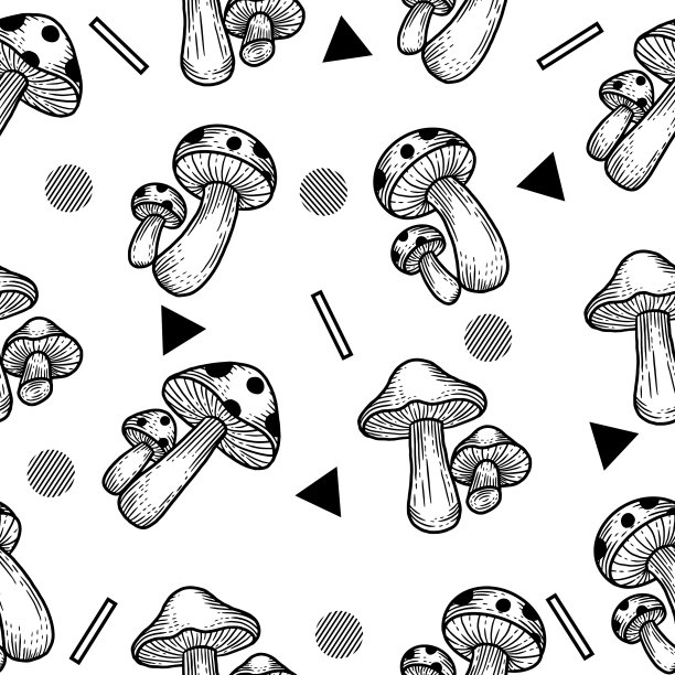 黑白集菌健康食品图片下载